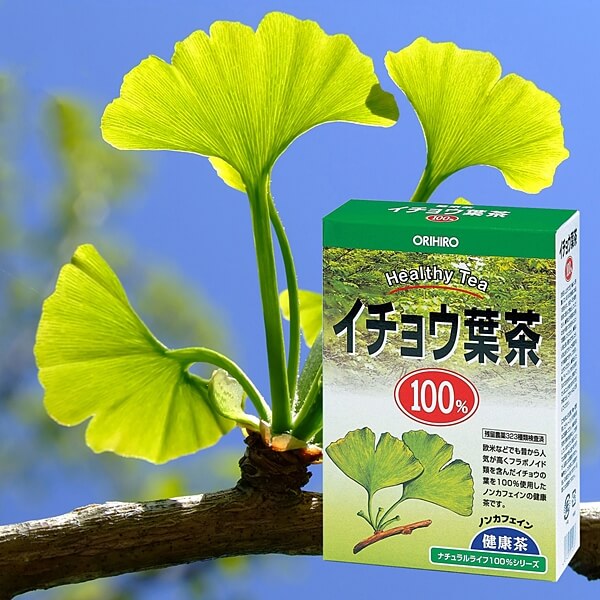 ORIHIRO Ginkgo Leaf Tea