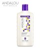 ANDALOU NATURALS Lavender & Biotin Shampoo
